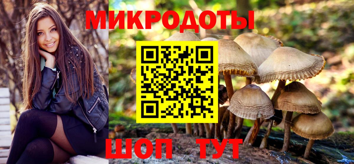 Псилоцибиновые грибы GOLDEN TEACHER  Псилоцибиновые грибы GOLDEN TEACHER  Вход с VPN  Калуга 